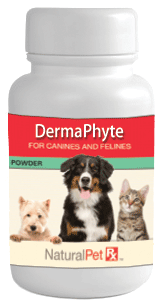 Dermaphyte - 50 grams powder